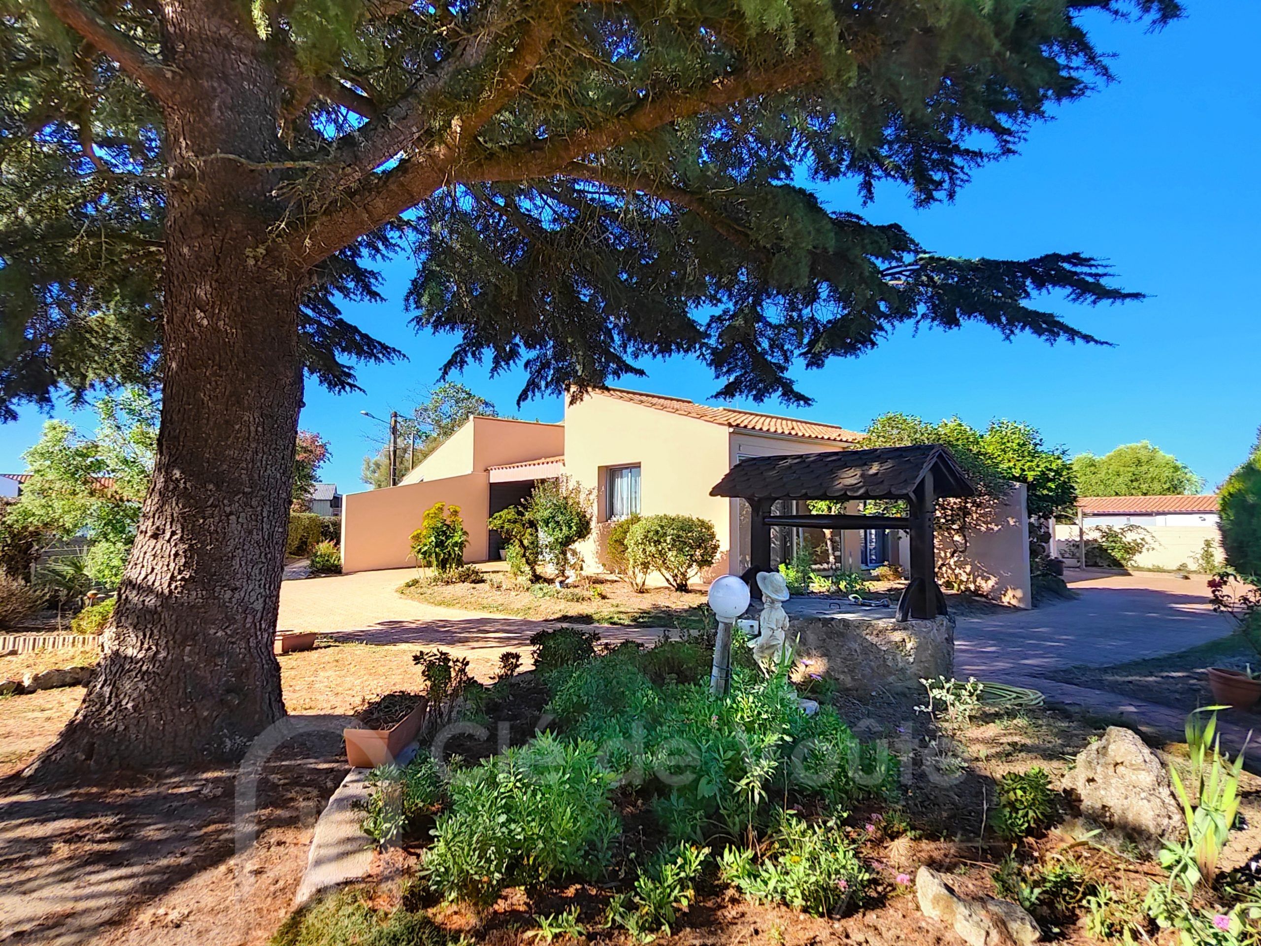 Maison d'architecte - 170m2 - 3 chambres, bureau et 1000m2 de terrain