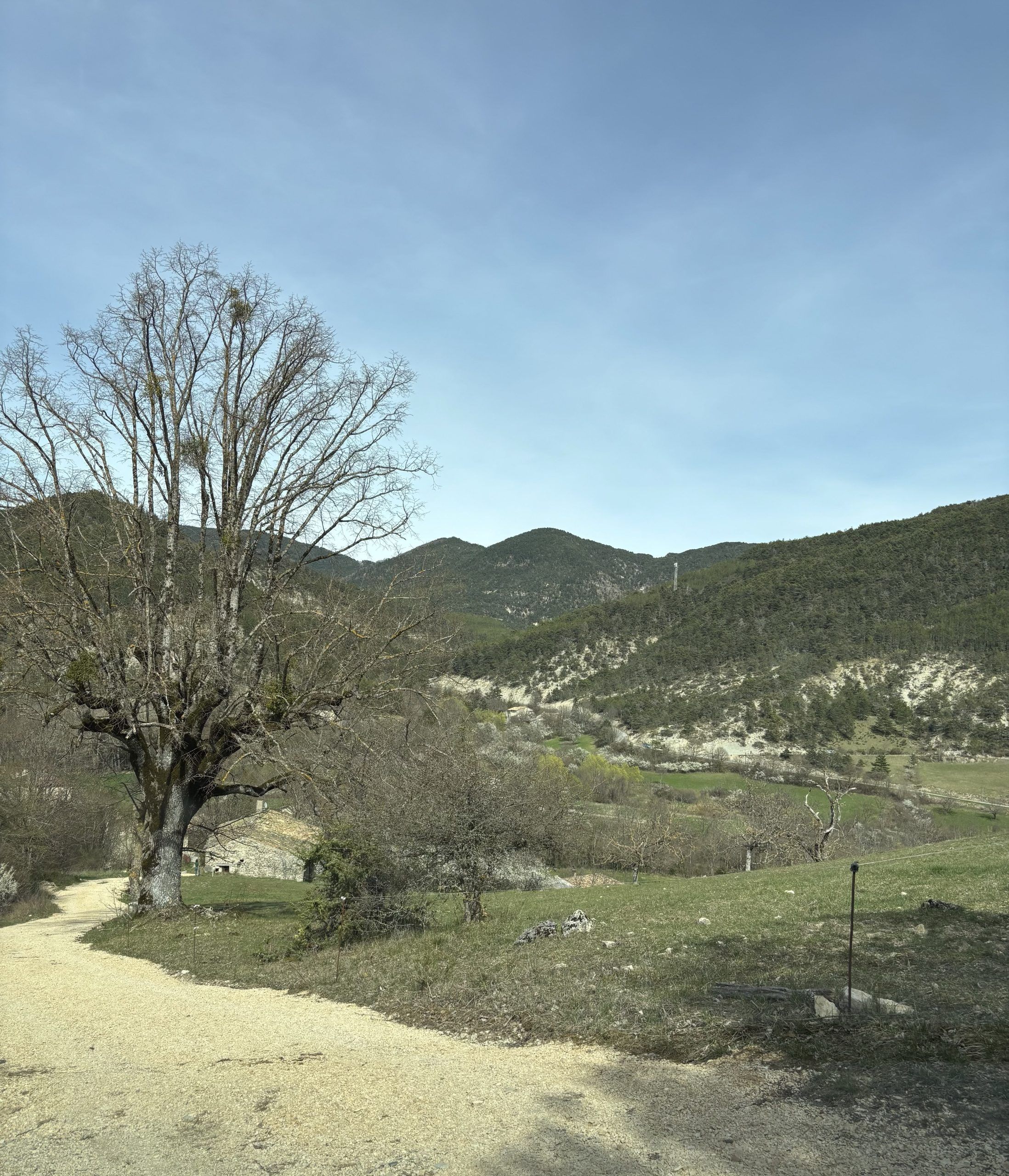 Establet Haut Diois - Drôme maison en pierre 