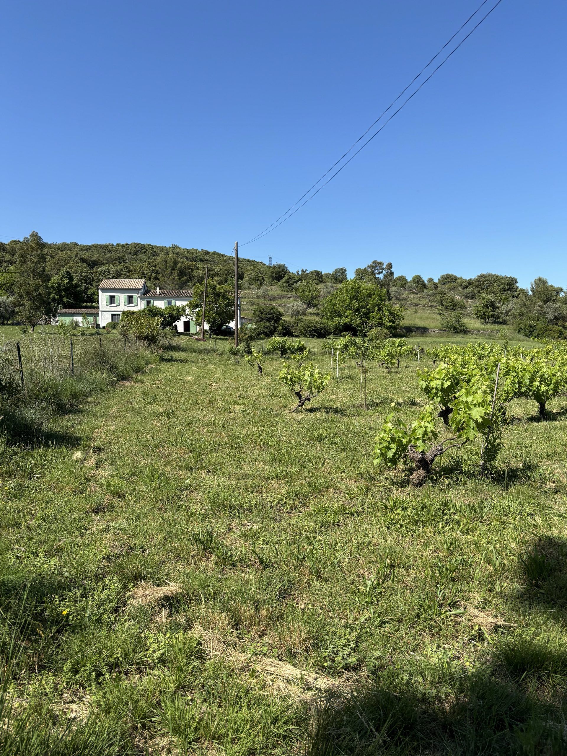 Longère Rousson Rousson / Gard Maison avec 1,5 hectare