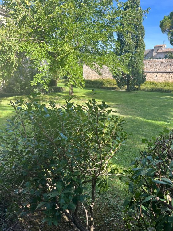 Appartement ancien Uzès